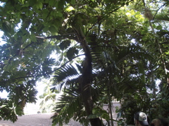 P4300200.JPG
