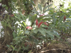 P4300205.JPG