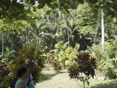 P4300215.JPG