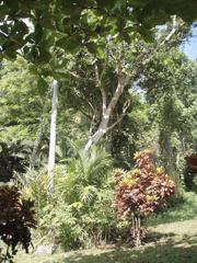 P4300216.JPG