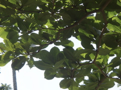 P4300218.JPG