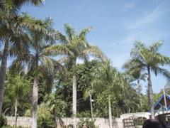P4300227.JPG