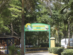 P4300228.JPG