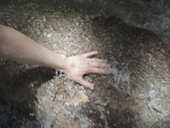 P4300249.JPG