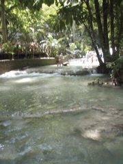 P4300253.JPG