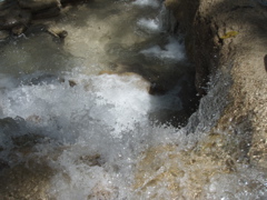 P4300265.JPG