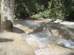 P4300267.JPG