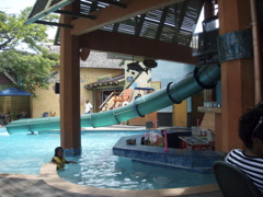 P4300274.JPG