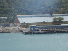 P4300286.JPG