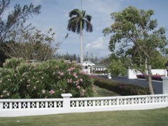 P5010330.JPG
