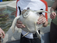 P5010343.JPG