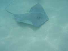 P5010420.JPG