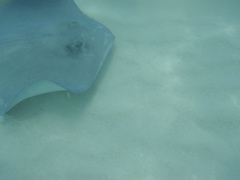 P5010421.JPG