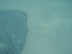 P5010422.JPG