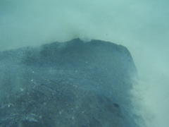 P5010424.JPG