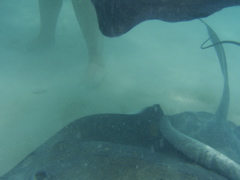 P5010425.JPG