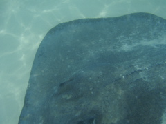 P5010429.JPG