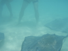 P5010432.JPG