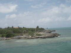 P5010436.JPG