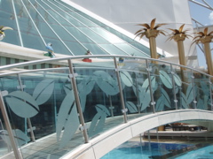 P4270062.JPG