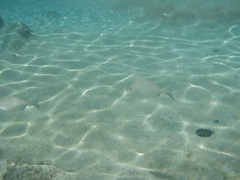 P5020004.JPG