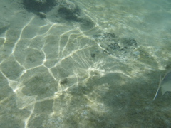 P5020005.JPG