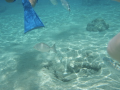 P5020009.JPG