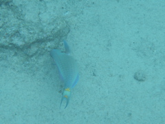 P5020016.JPG