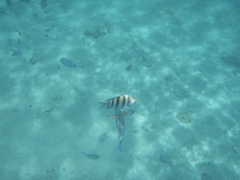 P5020018.JPG