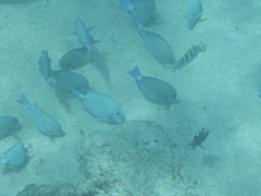 P5020019.JPG