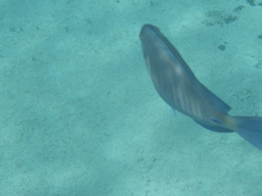 P5020020.JPG