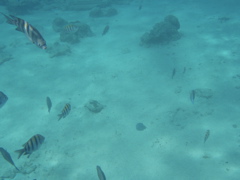 P5020021.JPG