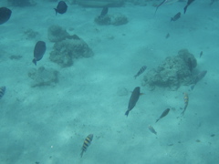 P5020022.JPG