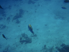 P5020027.JPG