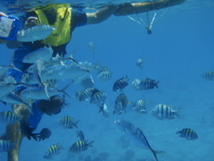 P5020030.JPG