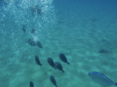 P5020038.JPG