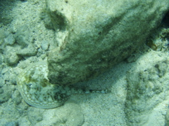 P5020042.JPG