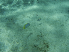 P5020043.JPG