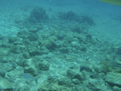 P5020045.JPG