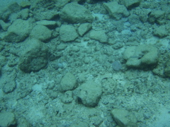 P5020047.JPG