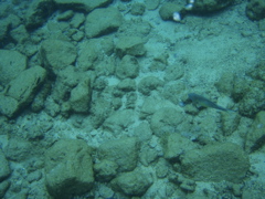 P5020048.JPG