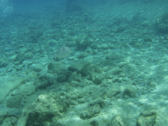 P5020051.JPG