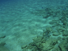 P5020052.JPG