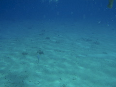 P5020060.JPG