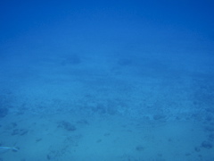 P5020068.JPG