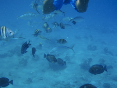 P5020069.JPG
