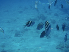 P5020070.JPG