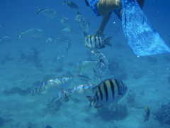 P5020071.JPG