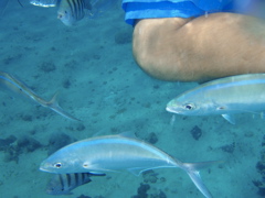 P5020081.JPG