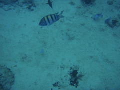 P5020091.JPG